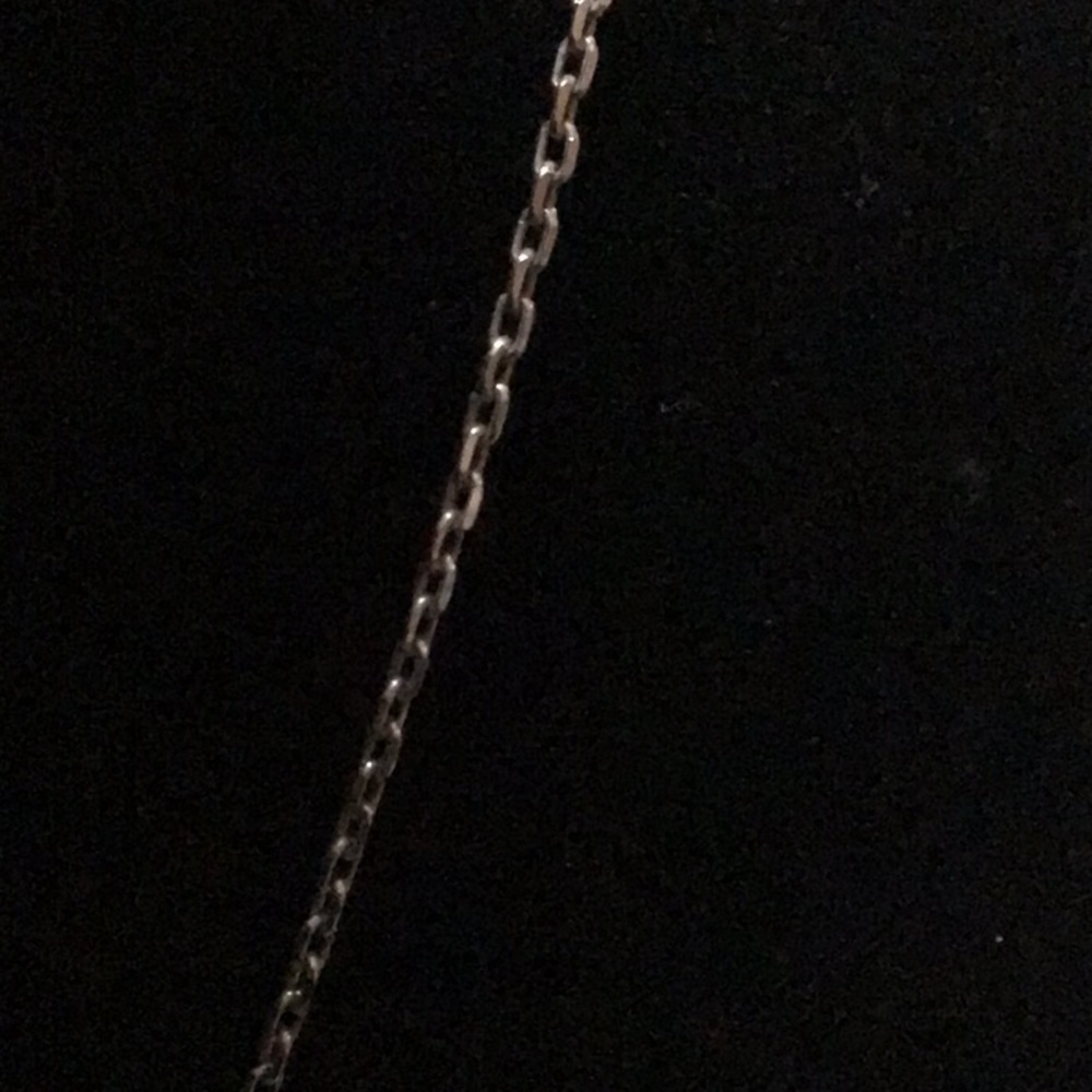 Natural Amber Silver 925 Necklace w/ real crab - Picture 6 of 6